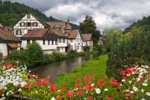 excursi-n-de-un-d-a-al-bosque-negro-y-estrasburgo-desde-fr-ncfort-in-frankfurt-49833